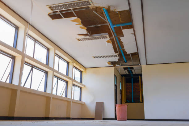 Best 24-hour water damage restoration  in Pleasantville, IA