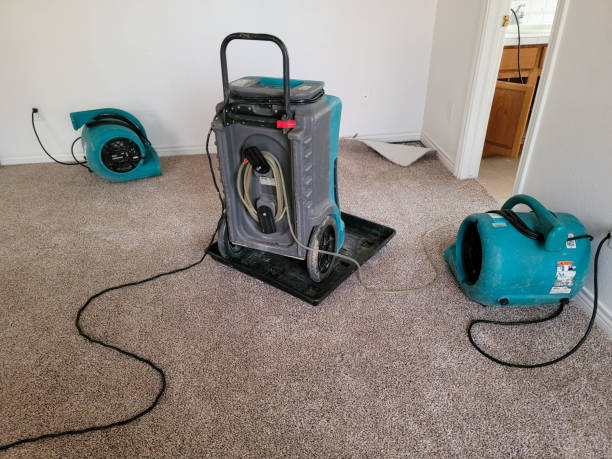 Best Water damage cleanup near me  in Pleasantville, IA