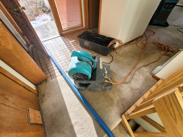 Best Water damage restoration process  in Pleasantville, IA