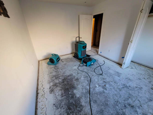 Best Professional water damage repair  in Pleasantville, IA