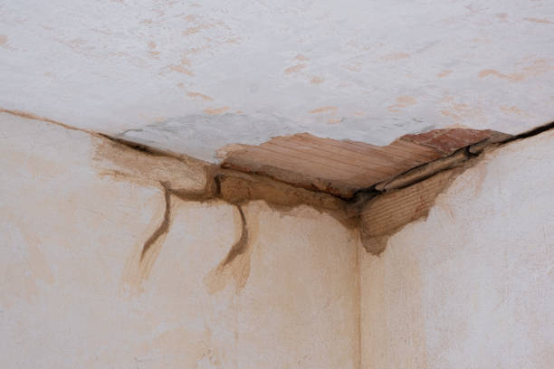 Best Water damage contractors near me  in Pleasantville, IA