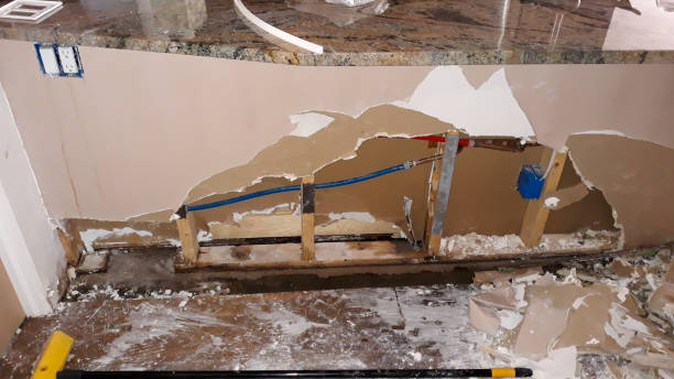 Best Residential water damage restoration  in Pleasantville, IA