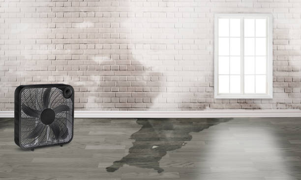 Best 24/7 water damage repair  in Pleasantville, IA