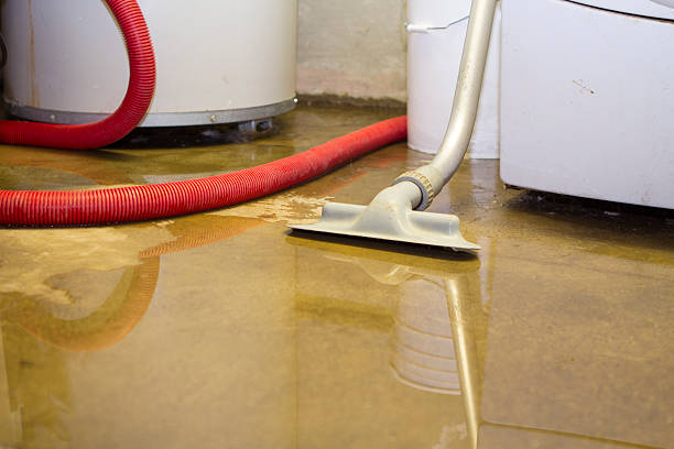 Best Basement water damage restoration  in Pleasantville, IA