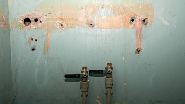 Best Residential water damage restoration  in Pleasantville, IA