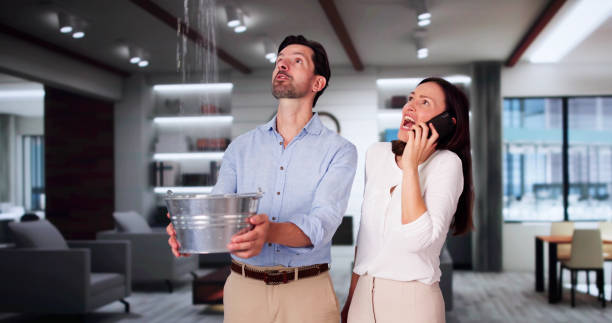 Best Water damage restoration near me  in Pleasantville, IA