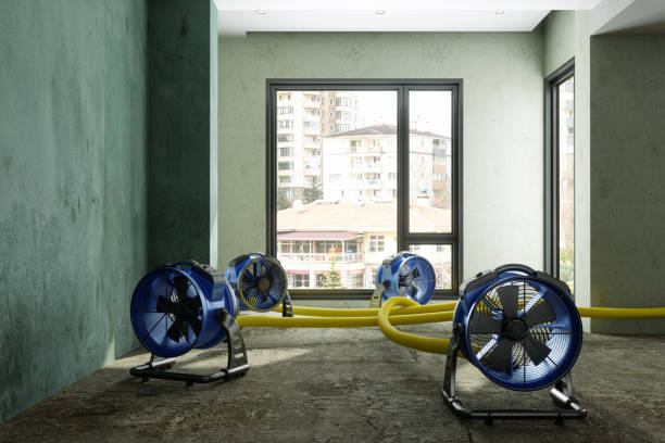 Best Mold removal after water damage  in Pleasantville, IA