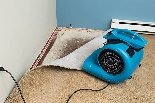 Best Flood restoration services  in Pleasantville, IA